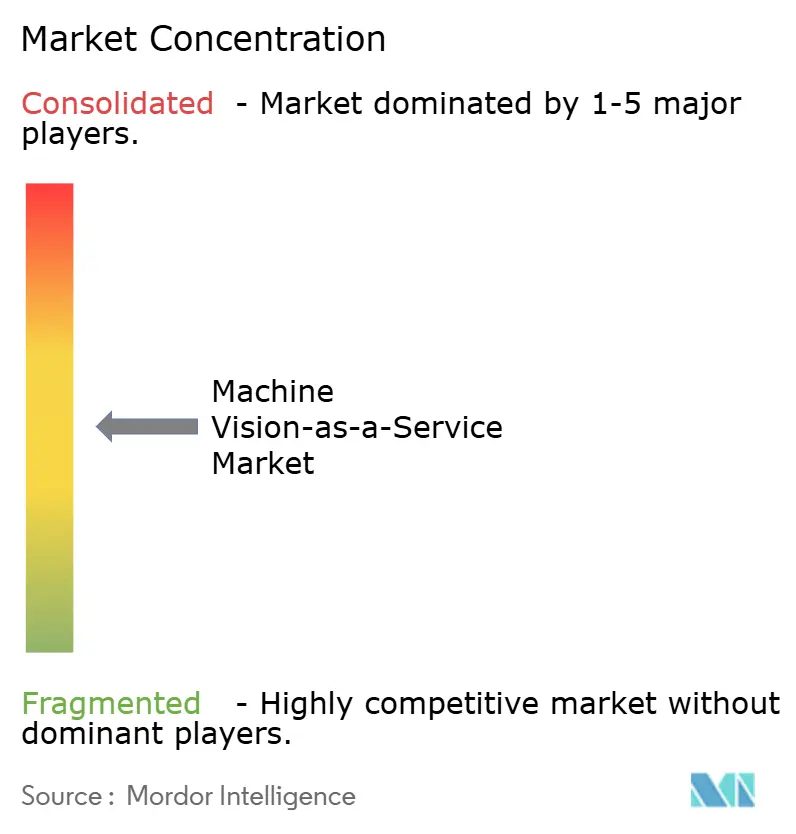 Machine Vision-as-a-Service Market Concentration