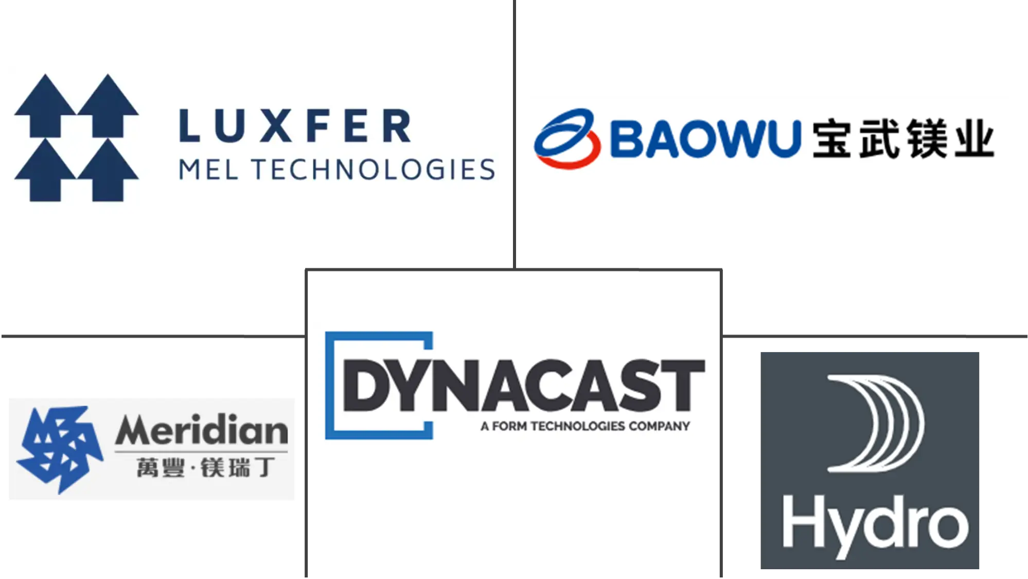 Major players in Magnesium Alloys industry