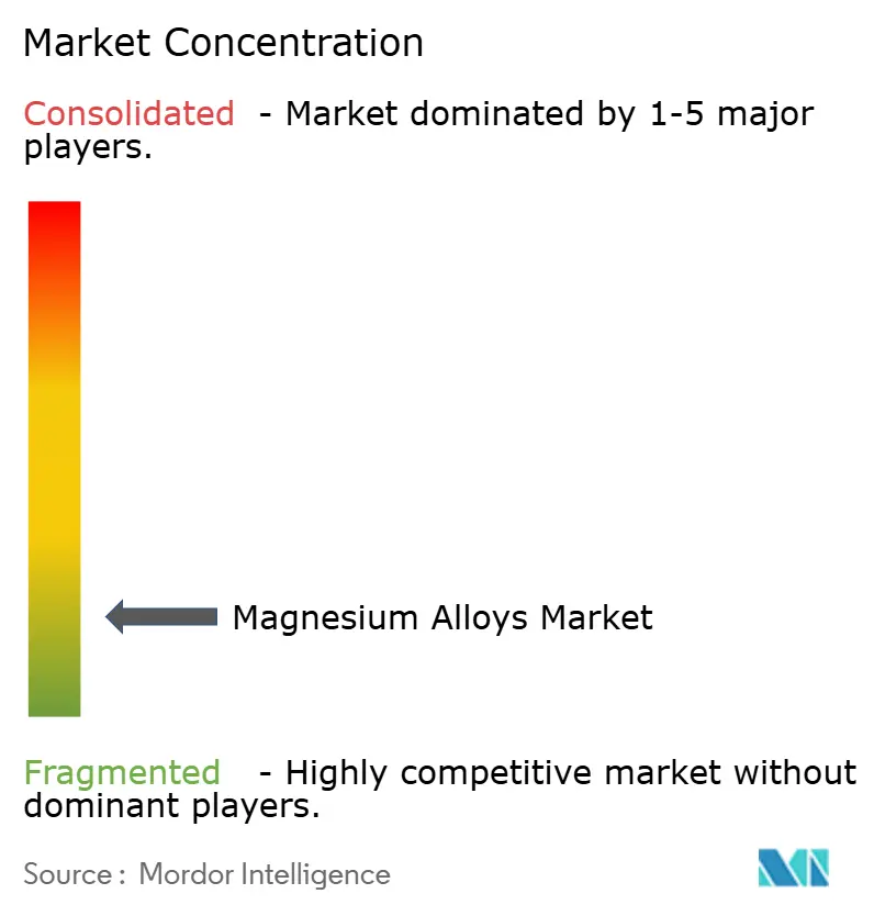 Magnesium Alloys Market Concentration
