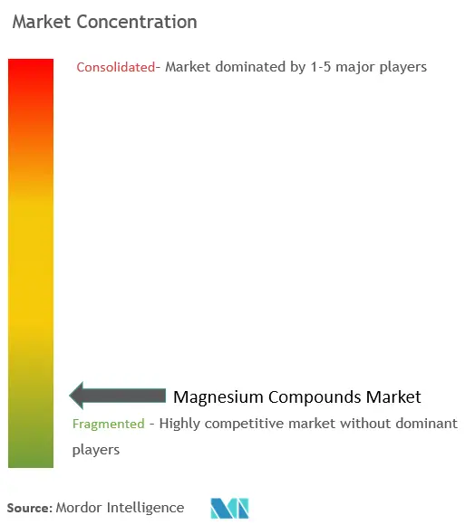  Marktkonzentration für Magnesiumverbindungen