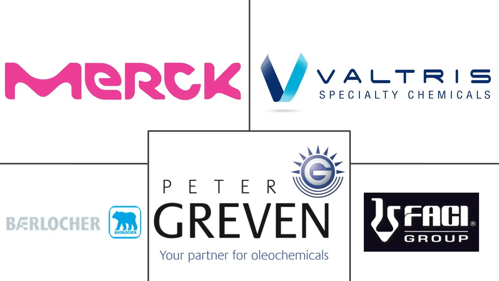 Major players in Magnesium Stearate industry