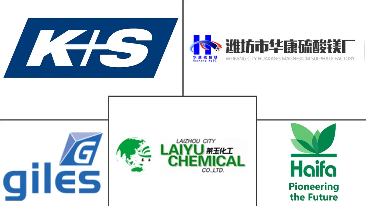Hauptakteure in Magnesium Sulfat Markt Branche