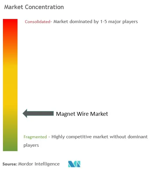 Magnet Wire Market Concentration