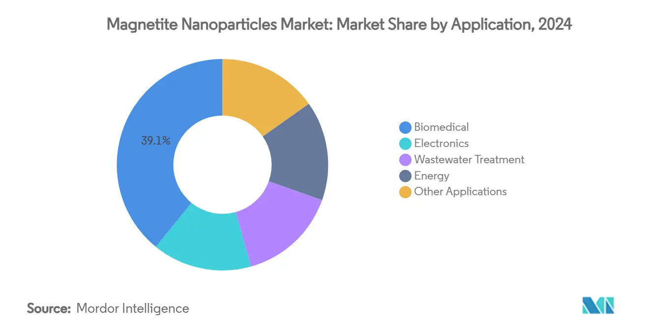Magnetite Nanoparticles Market: Market Share by Application