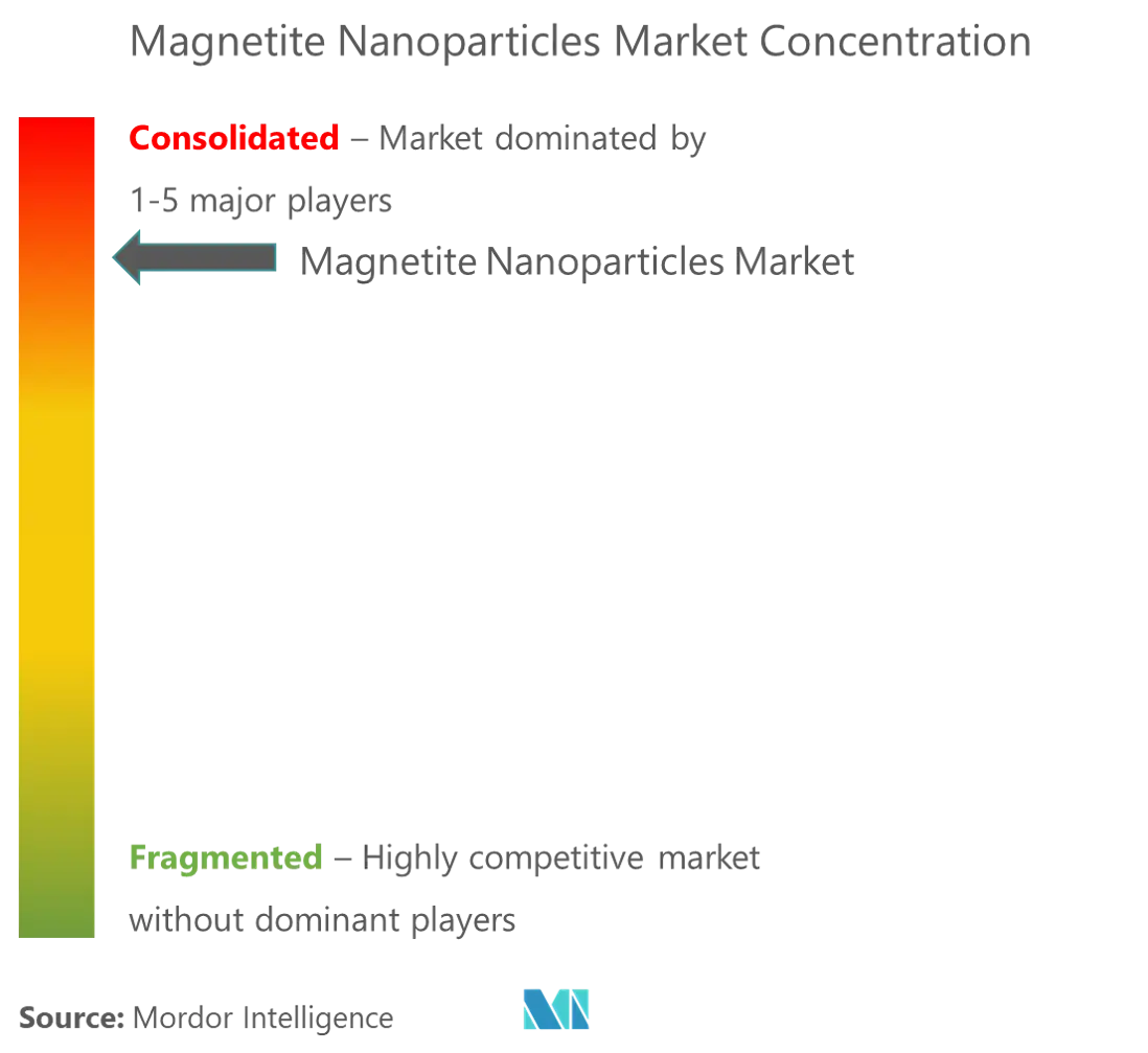 Market Concentration - Magnetic Nanoparticles Market.png