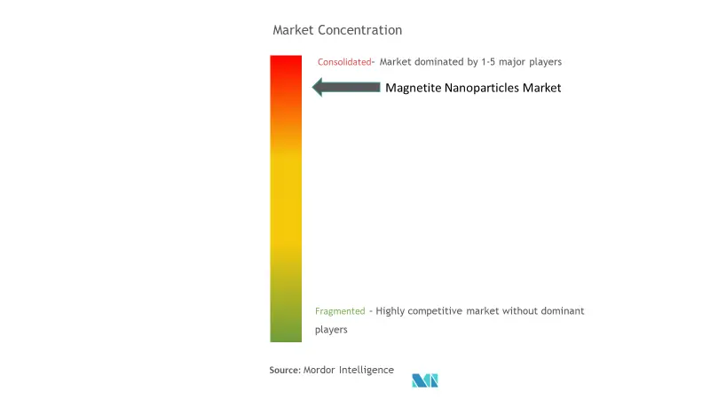 Concentración de mercado - Nanopartículas de magnetita Market.png