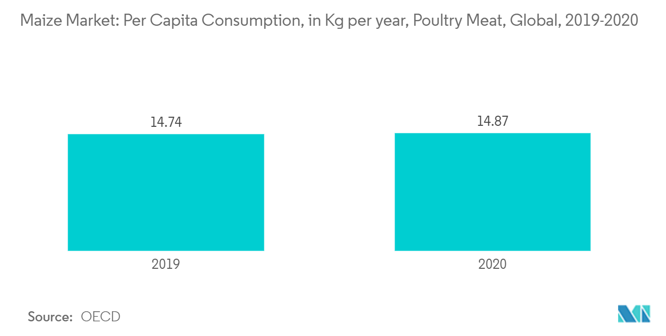 玉米市场 - 人均消费量（每年公斤），全球禽肉，2019-2020