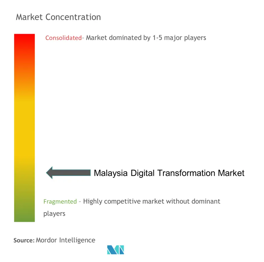 Malaysia Digital Transformation Market Concentration