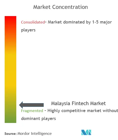 マレーシア・フィンテック市場の集中度