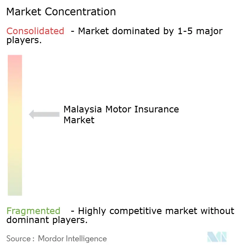 Malaysia Motor Insurance Market Concentration