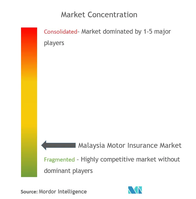 Malaysia Motor Insurance Market Concentration