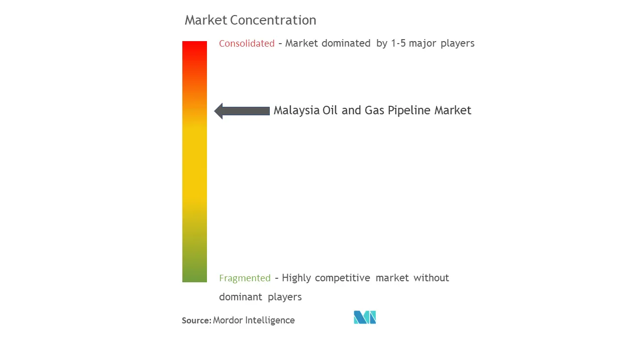 マレーシアの石油とガスのパイプライン市場集中度