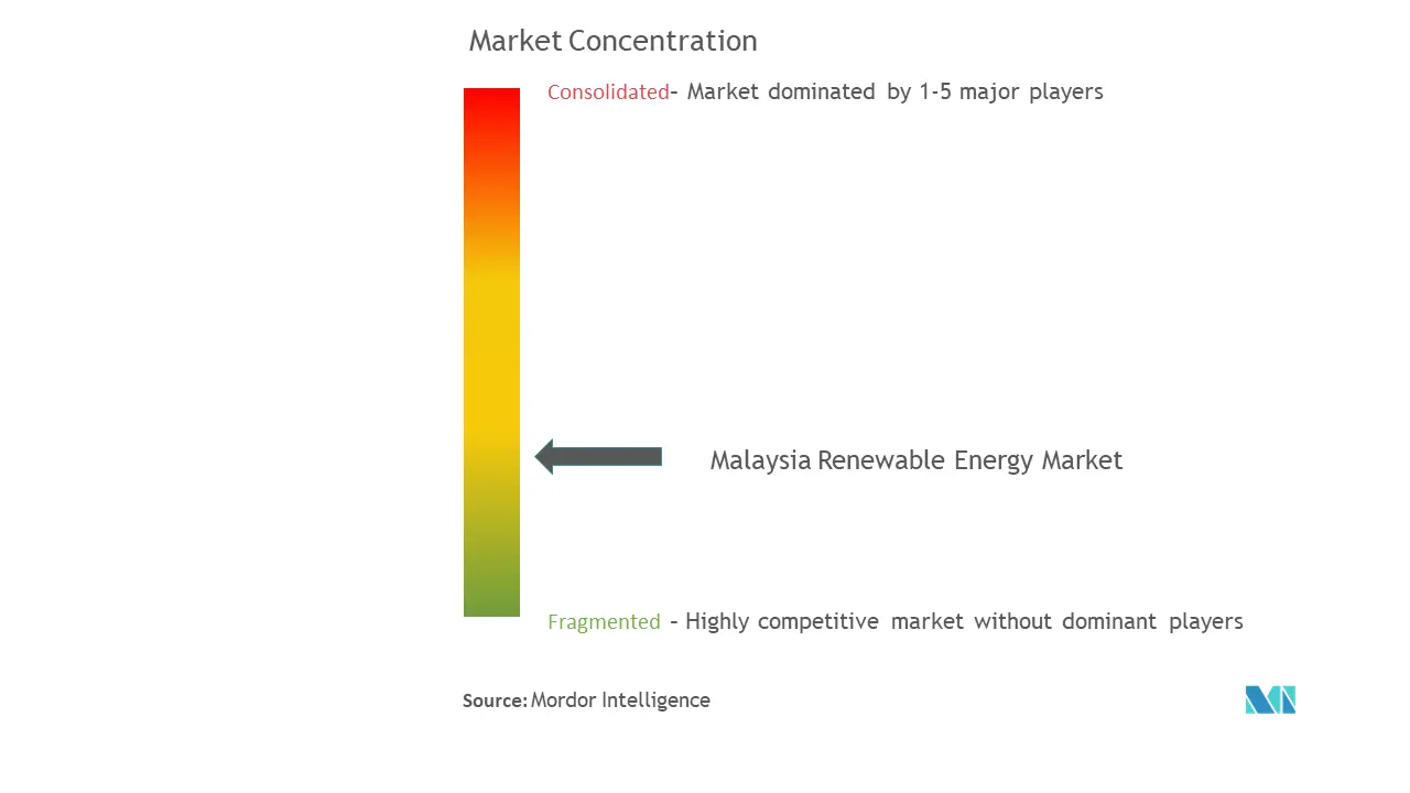 Malaysia Renewable Energy Market Concentration