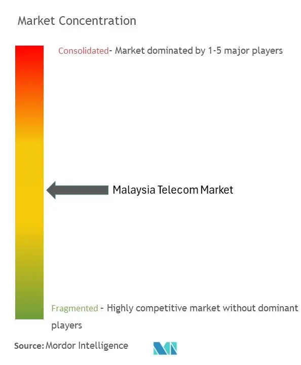 Malaysia Telecom Market Concentration