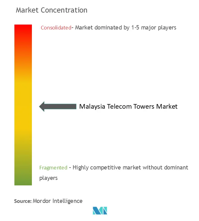 Malaysia Telecom Towers Market Concentration