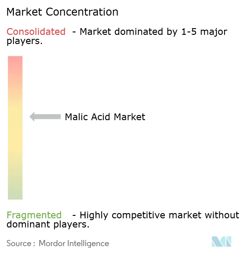 Malic Acid Market Concentration