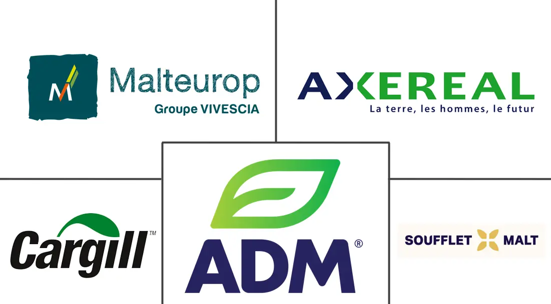 Malt Ingredient Market Major Players