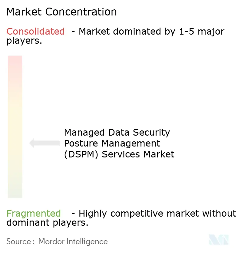Managed Data Security Posture Management (DSPM) Services Market Concentration