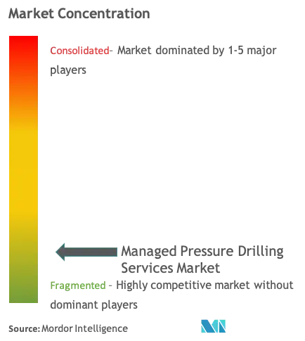 Managed Pressure Drilling Services Market Concentration