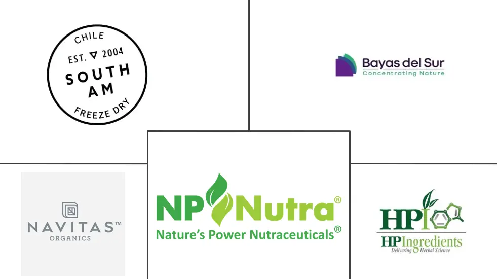 Related Companies Logo