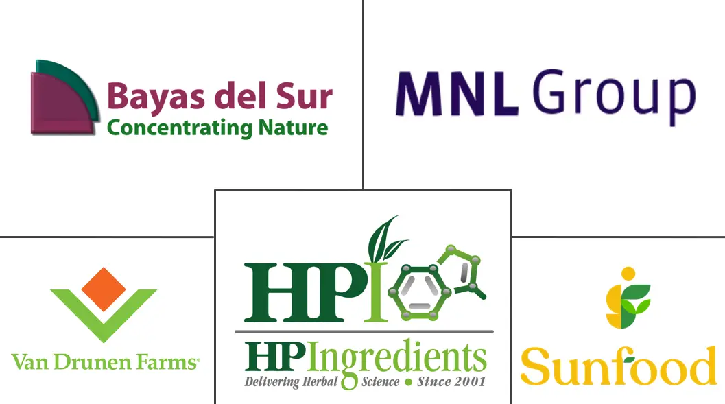 Major players in Maqui Berries industry