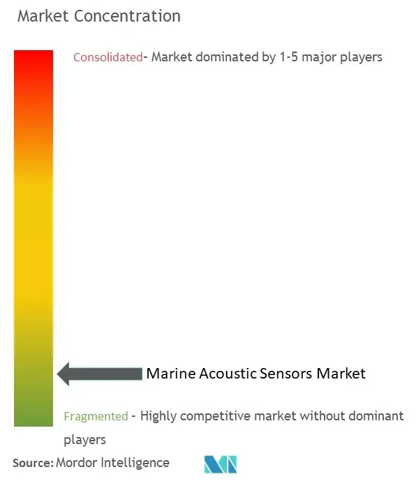 Marine Acoustic Sensors Market Concentration