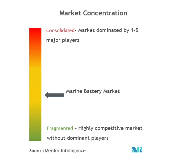マリンバッテリー市場の集中度