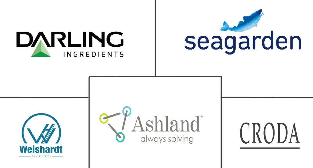 Related Companies Logo
