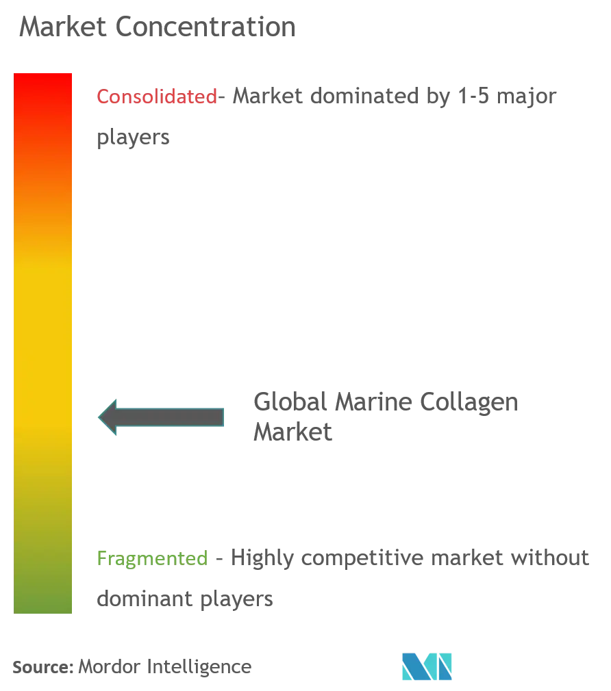 Global Marine Collagen Market Concentration