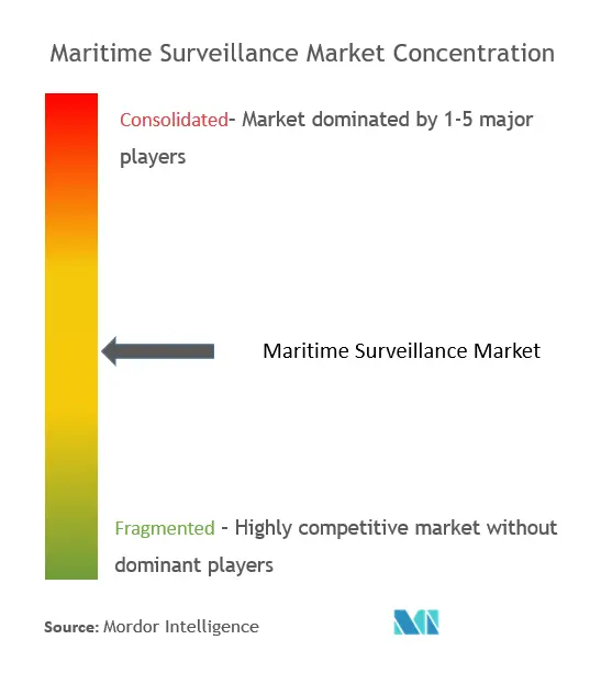 海上監視市場集中度