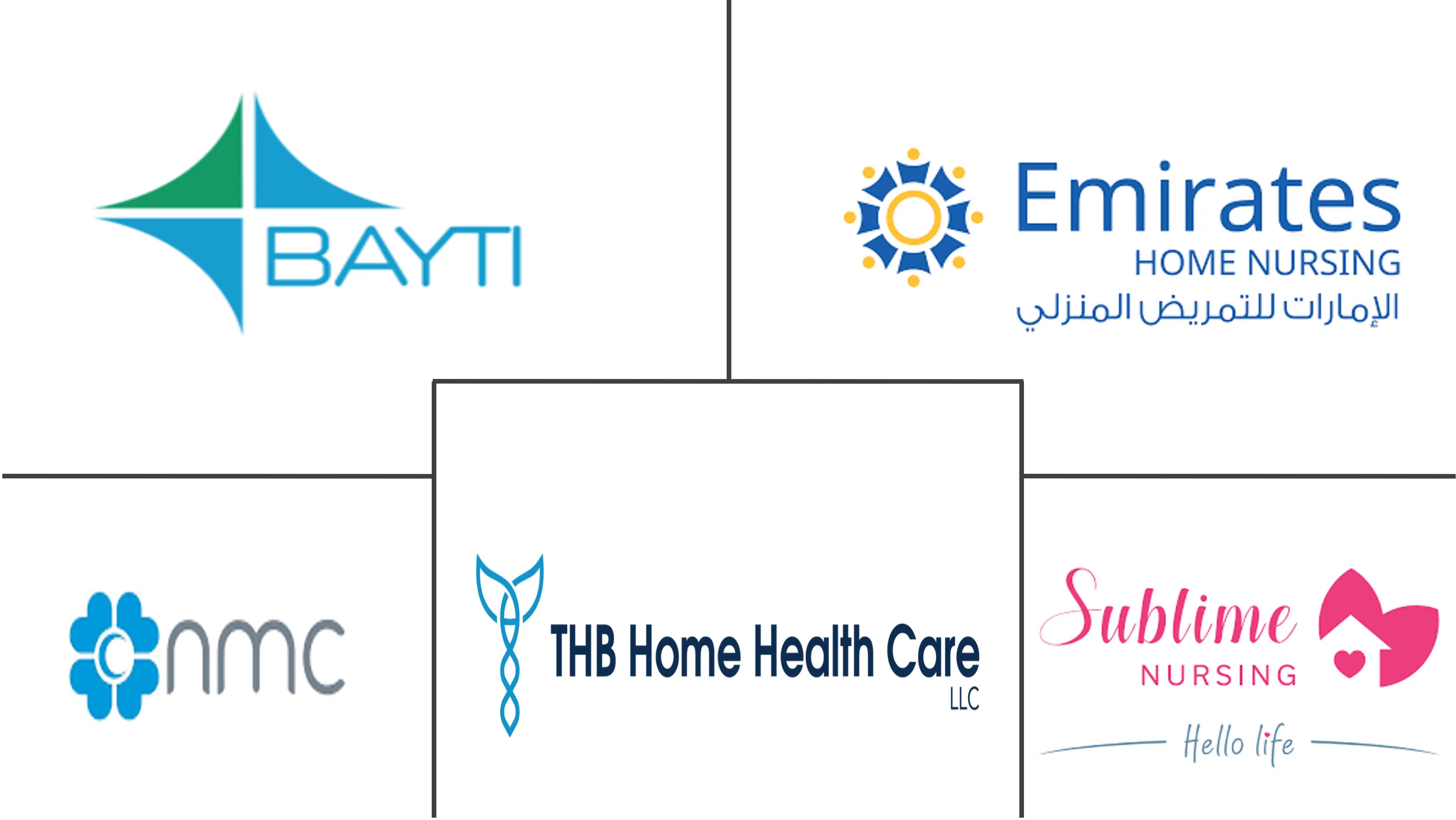  Home Healthcare Industry in UAE Major Players