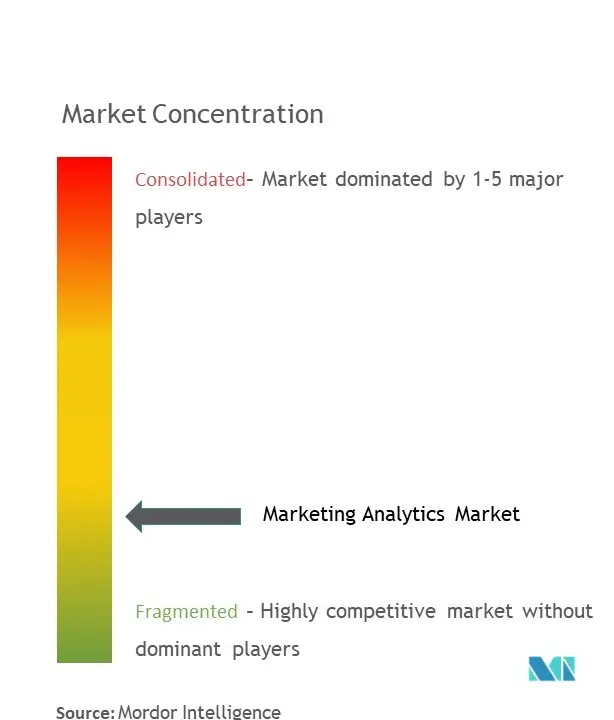 Marketing Analytics Market Concentration