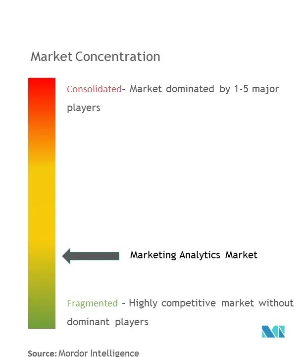 Marktkonzentration im Bereich Marketing Analytics