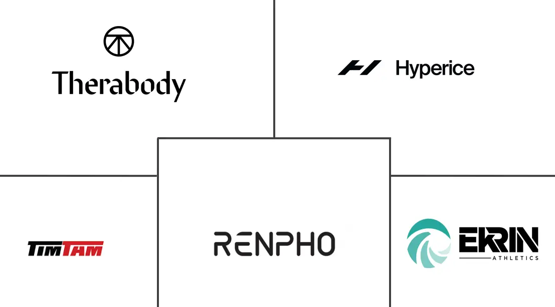 Major players in Massage Guns industry