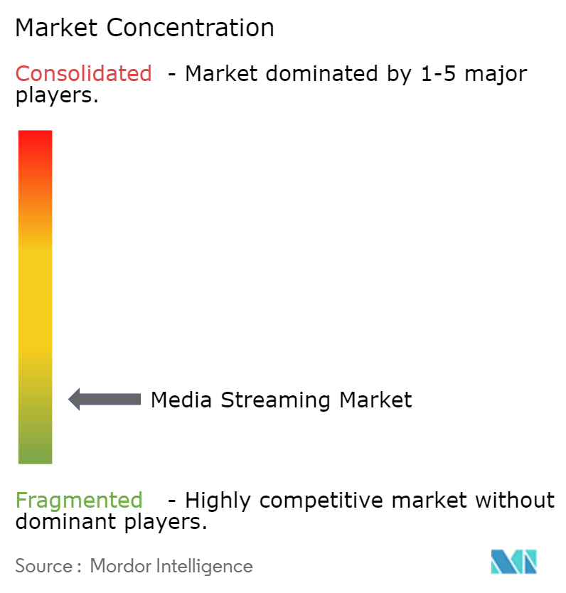 Media Streaming Market Concentration