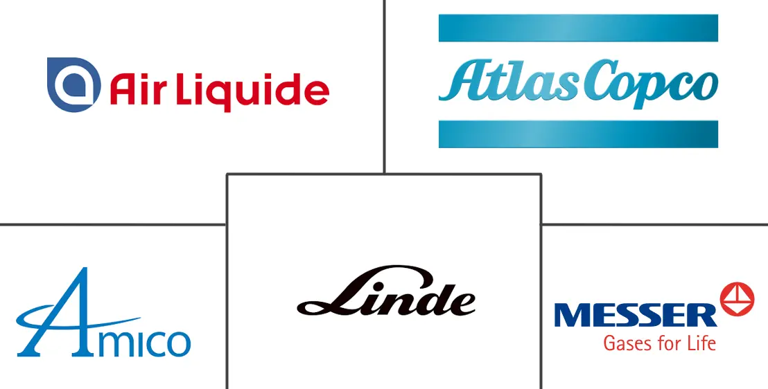 Major players in Medical Gases And Equipment industry