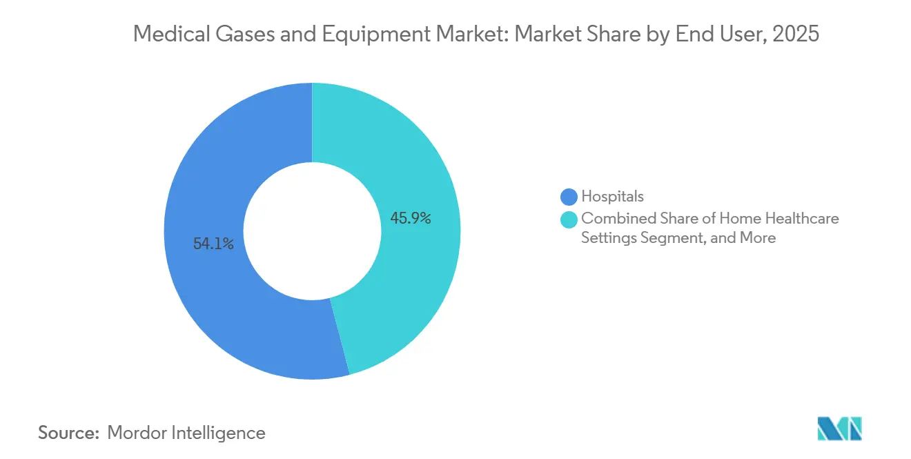 Medical Gases and Equipment Market: Market Share by End User