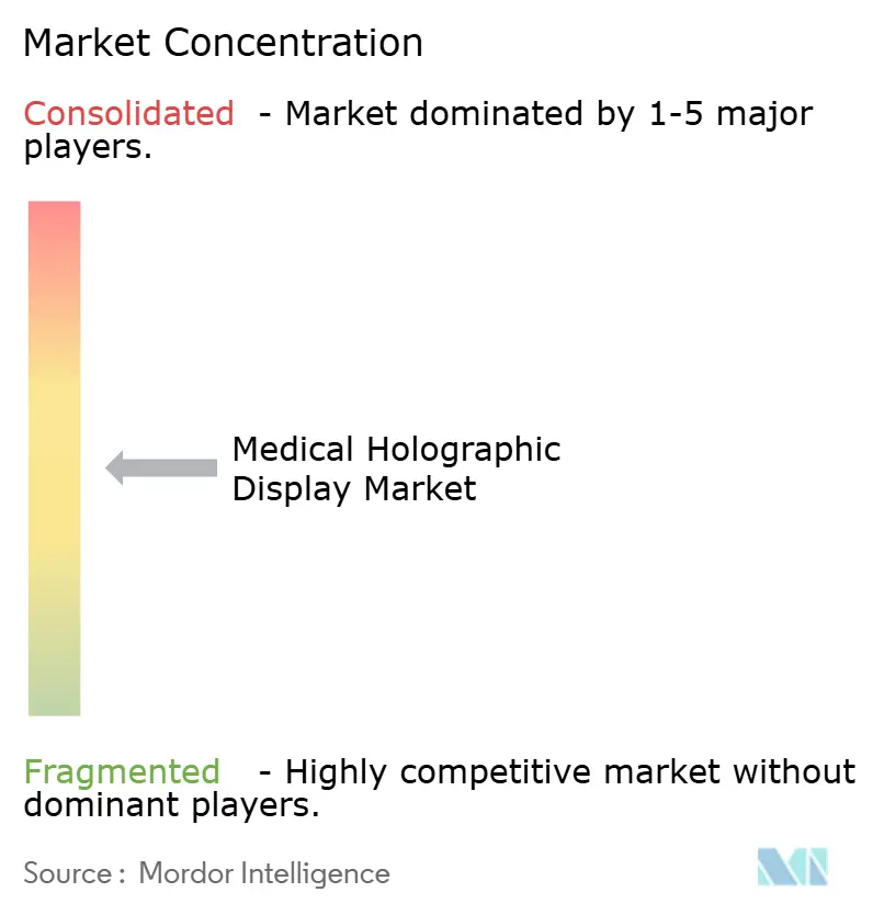 Medical HolographMedical Holography Market Concentrationy Market Concentration