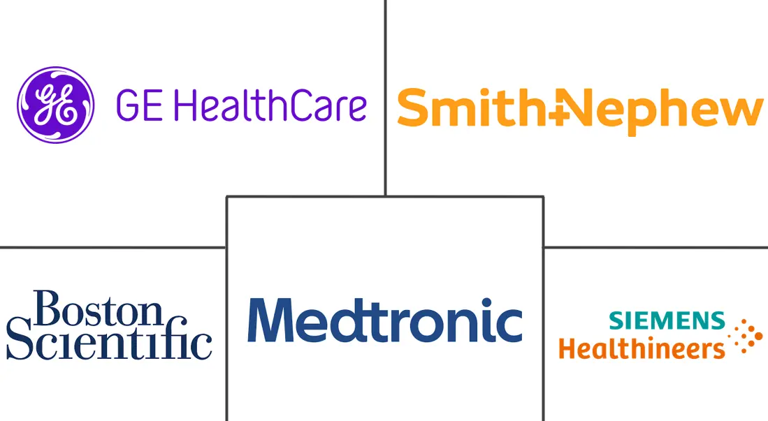 Non-Invasive & Minimally Invasive Medical Imaging And Visualization Systems Market Major Players