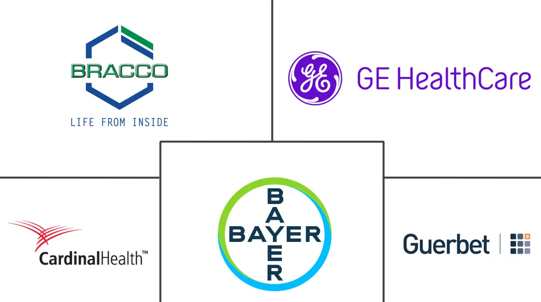 Major players in Medical Imaging Reagents industry