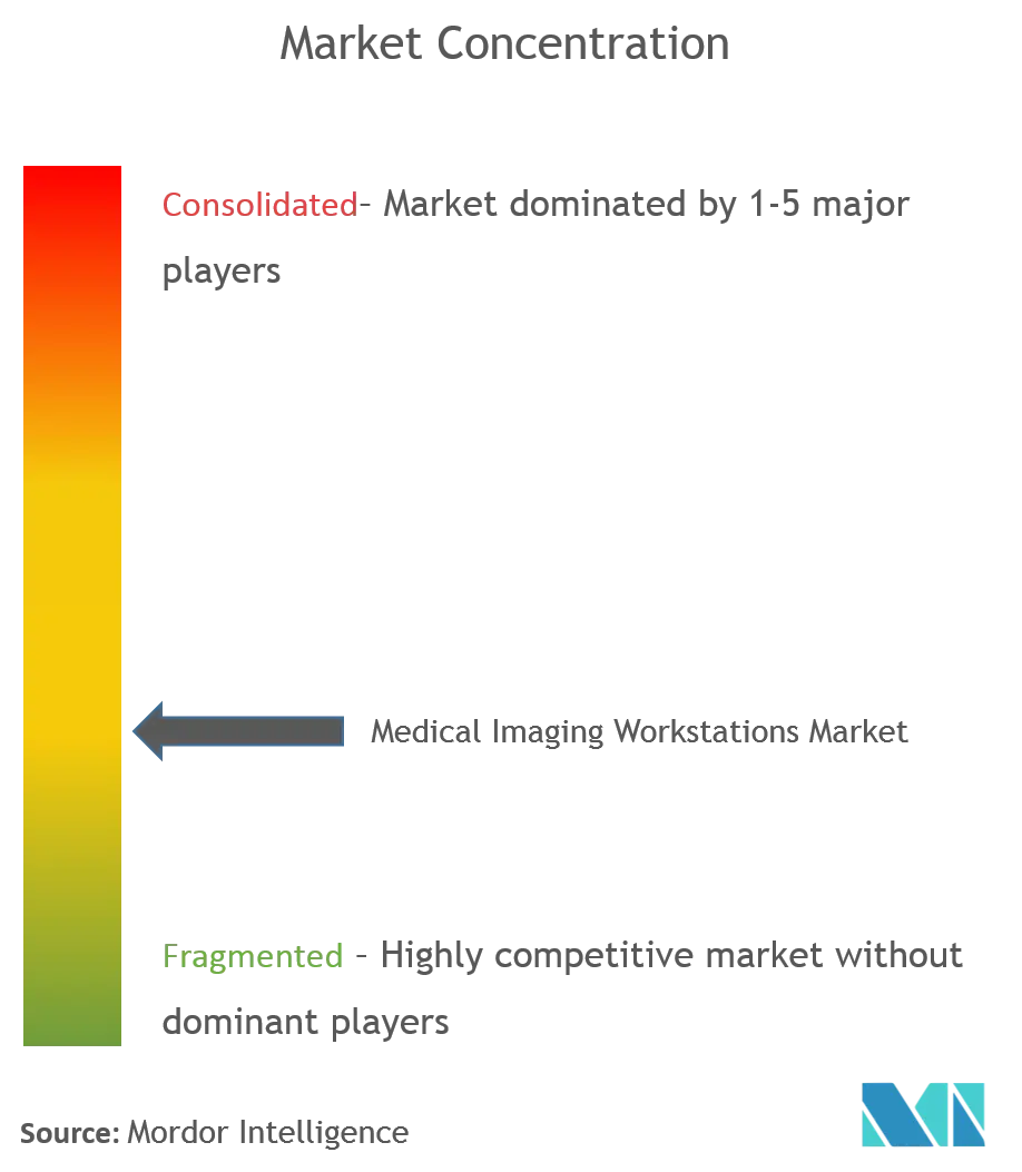 Globale Workstation für medizinische BildgebungMarktkonzentration