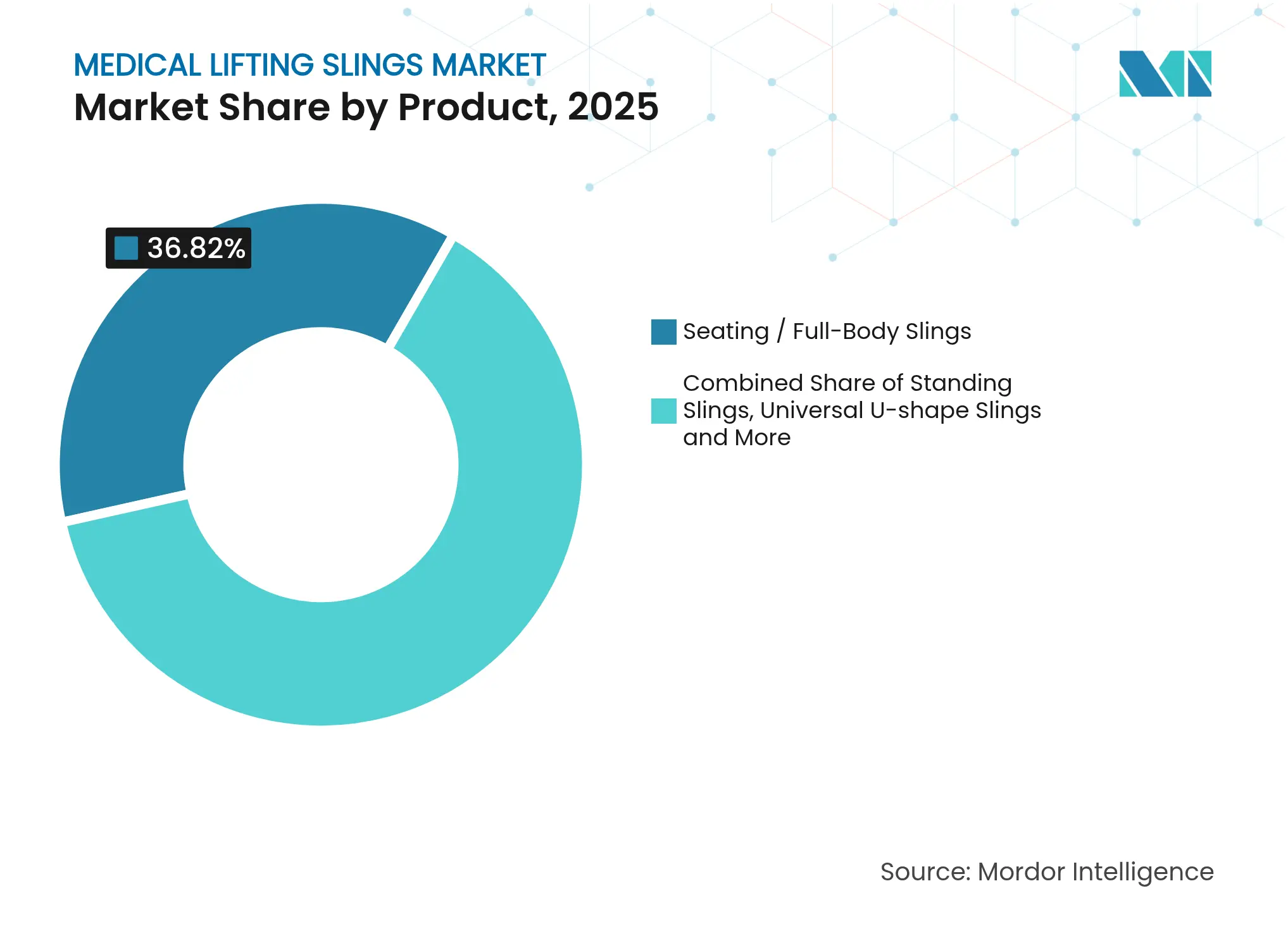 Medical Lifting Slings Market: Market Share by Product, 2025