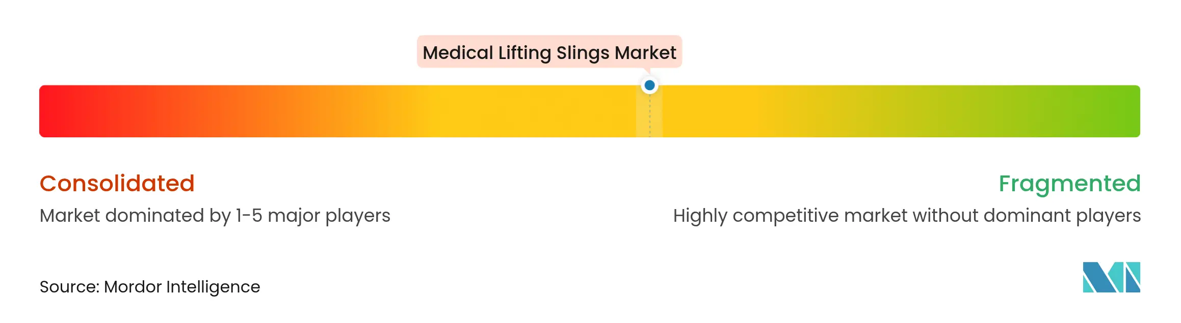 Medical Lifting Slings Market Concentration