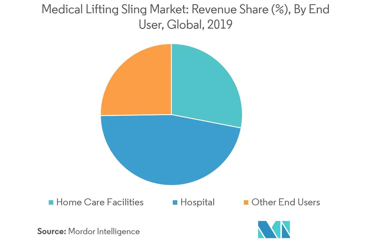 Medical Lifting Slings Market Growth