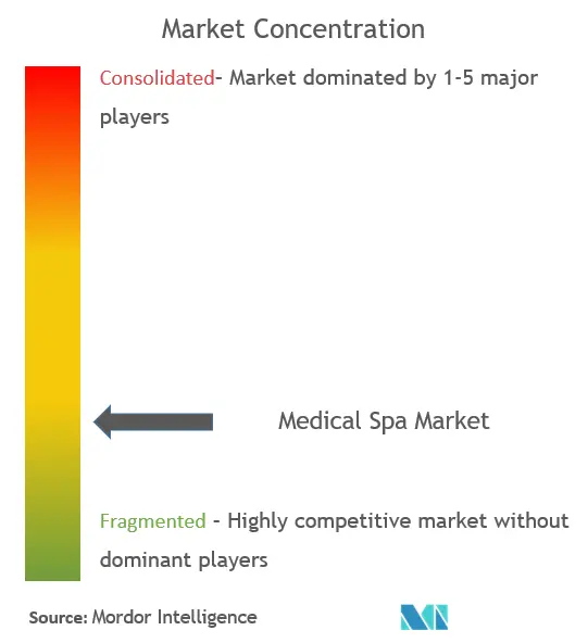 Medical Spa Market Concentration