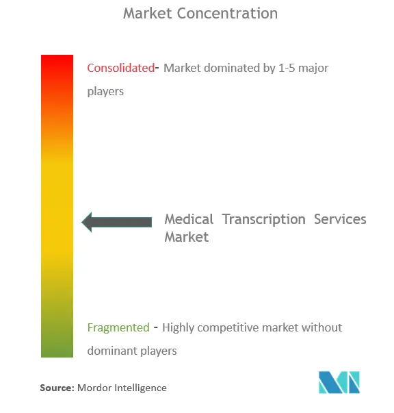 Medical Transcription Services Market Concentration