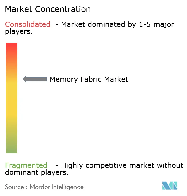 Memory Fabric Marktkonzentration
