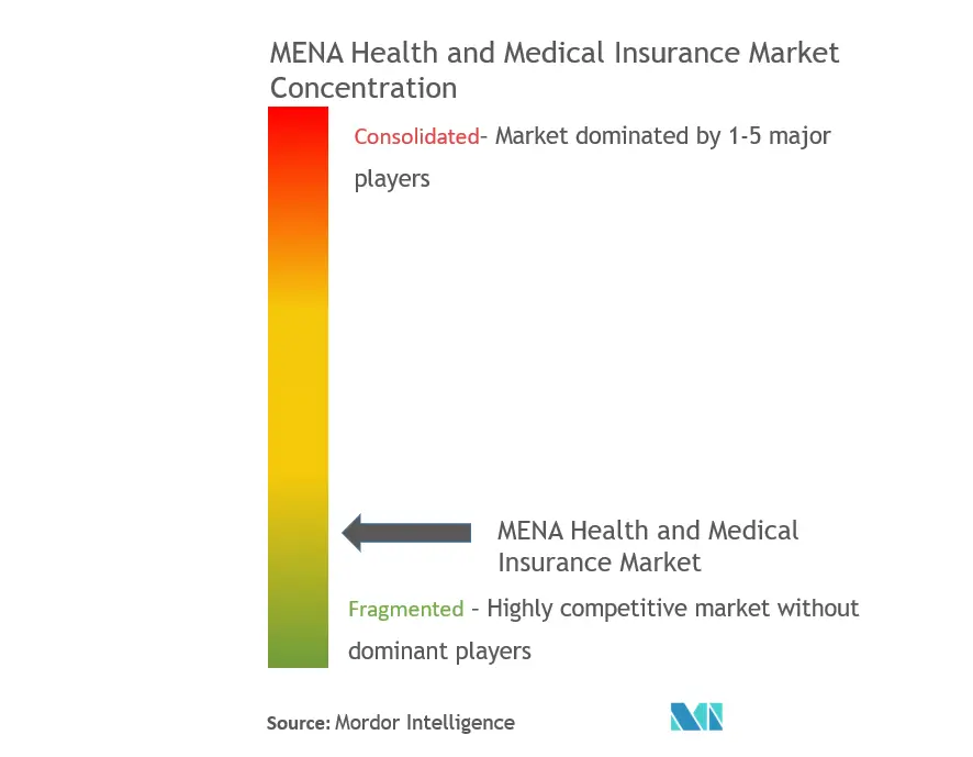 Compañía Nacional de Seguros de Salud (Daman), Bupa Global, Cigna, Allianz, ADNIC