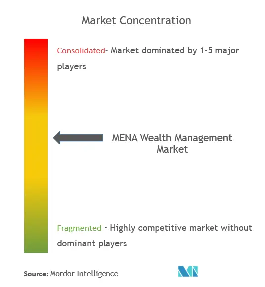 MENAウェルス・マネジメント市場の集中度