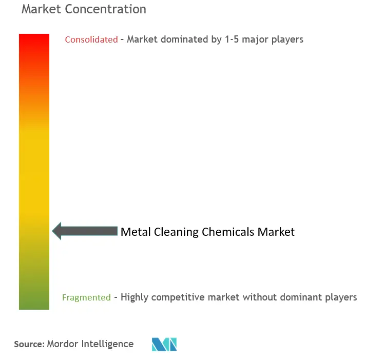 Metal Cleaning Chemicals Market - Market Concentration